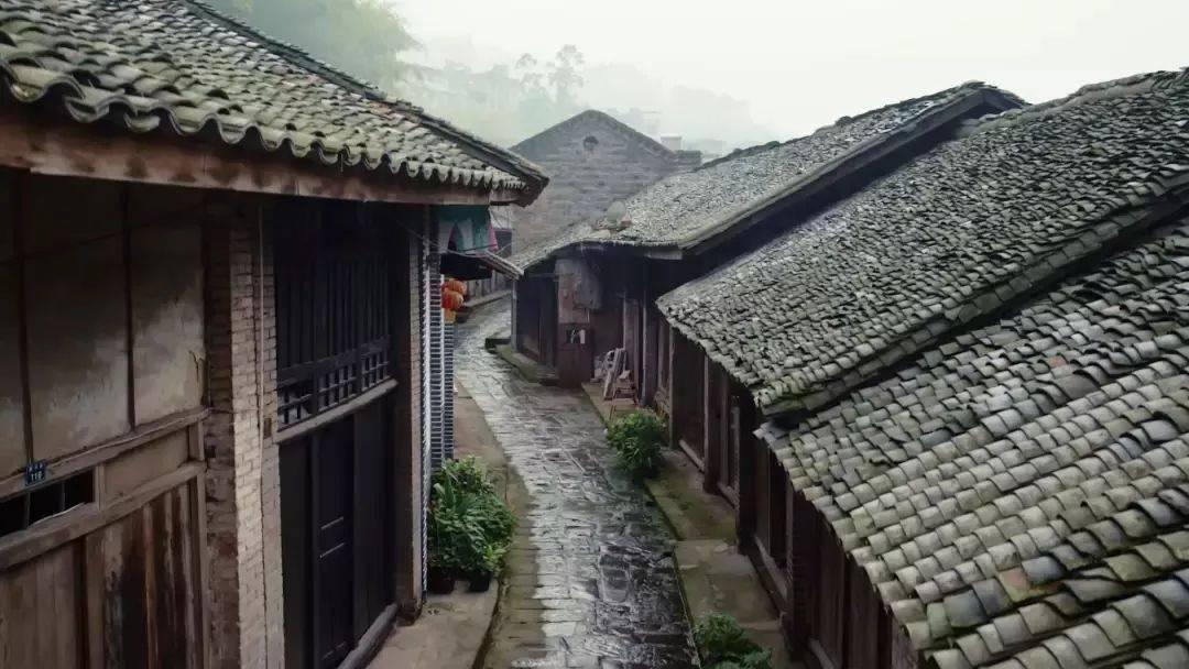 春节文旅市场提前爆火，大马戏羊城献艺贺龙年